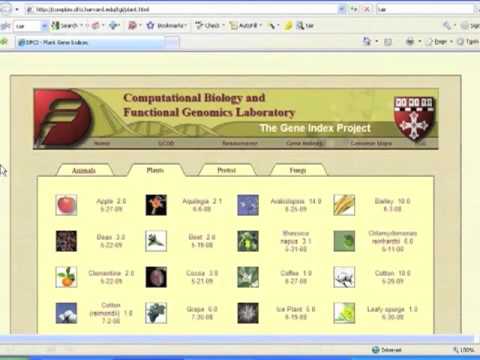 how to apply for qtls