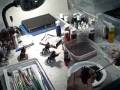videos de BTP- Daemons and Tyranids