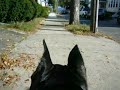 Maggie Cam Walking