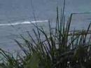 Australia Hyams Beach Jervis Bay