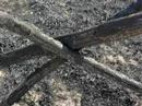 Incendio al Parco del Pineto