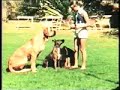Beautiful Rhodesia Beautiful Rhodesia