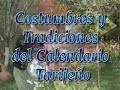tarija