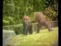 S�per accidentes jajaja!!!