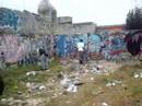pinta wilck skun blasto iveck reusk brayts doerck sock
