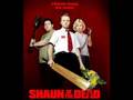 Good-Spoof-Bad-Spoof