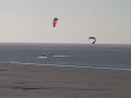drôles doiseaux  strange birds  baie de somme picardie