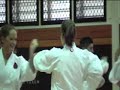 Newcastle Oceania Gasshuku 2008 with Morio Higaonna Sensei