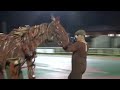 「WarHorse(ウォー・ホース)~戦火の馬~」TCKコラボイベント 第1弾 ウォーホース