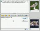 Pitanzas Por MSN con garVO