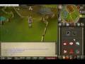 runescape high detail(small) and standard detail