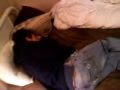 Noonan the Bedwetter