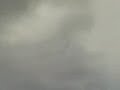 Gru in migrazione, uno spettacolo. Gru in migrazione, uno spettacolo.