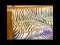 fv tv usa cnn - japan milan store - italy channel -6.mp4