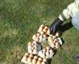 Hovercraft