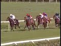 ROMA 4.wmv ROMA 4.wmv