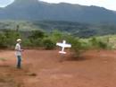 Treinando Torque Roll com o Extra 330S 3D
