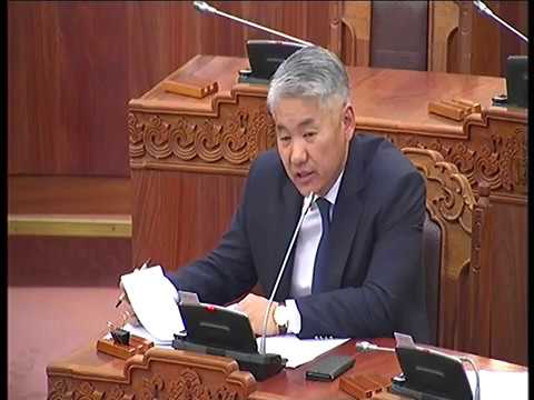 Д.Батлут: Монгол Улсын төрийн далбаатай онгоцонд ямар шаардлага тавьдаг вэ?