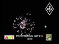 Professional Art 10 - 5010