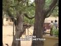 Chettuwa-05