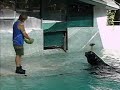 See video