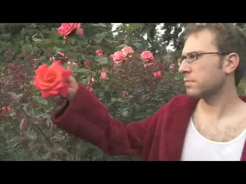 A funny Valentine's Day message from Louis Katz