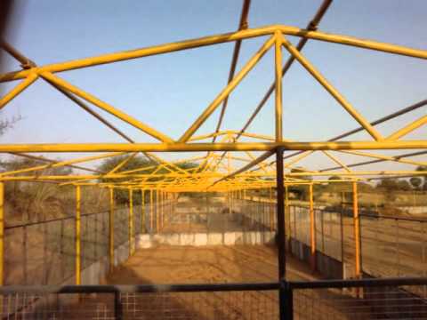 rajasthan goat farming - How to start a goat farm? Many people have this question in mind. I hope this video answers the question and make goat farming theme much more clear and unde...