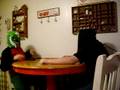 videos de Everyday Life: Episode 2