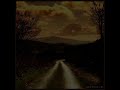 Irish Descendants - Rocky Road to Dublin