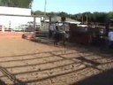 Lot #2896 - 3yr Old Bucking Bull - Video 3 of 4 Lot #2896 - 3yr Old Bucking Bull - Video 3 of 4