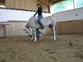 s�ance , r�v�rence avec cavalier .