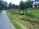 Sk�ll p� grinden