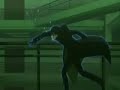 darker than black alternate amv to song howling instead of what have you done comment