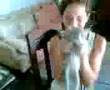 Gato bailando DESAFORADAMENTE