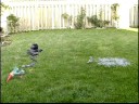 videos de Verminator
