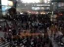 Shibuya Crossing Shibuya Crossing