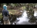 Snakehead Fishing Part 4