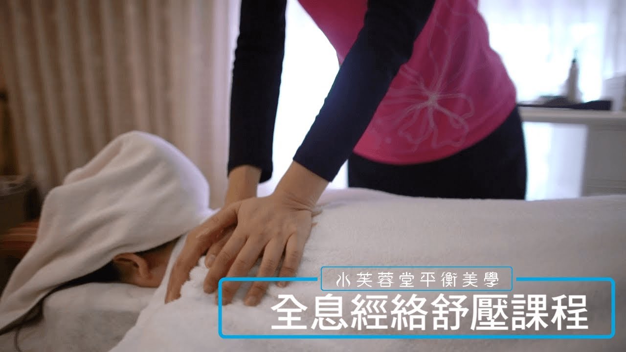 全息經絡養身 全息經絡養身