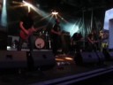 knut-live.html