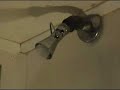 Conservation Shower Water Saver # 2 Conservation Shower Water Saver # 2