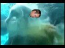 jimmyshitininthewoods