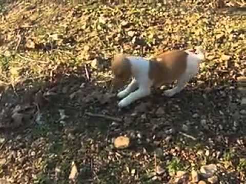 little red playing by herself