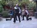 the little spanish flea video