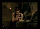 amy lee amy lee