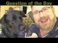 Dogs are SMARTER than . . . FUNNY Toy Product Review of 