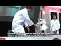Murata Manufacturing - MURATA GIRL : DigInfo