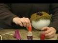 Growing at Reiman Gardens 013 Holiday Decorations Part 1