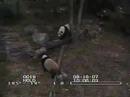 Mei Xiang and Tian Tian play or fighting?