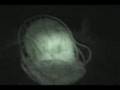 Real Ghost Encounter.. If One Only Looks