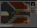 tibia